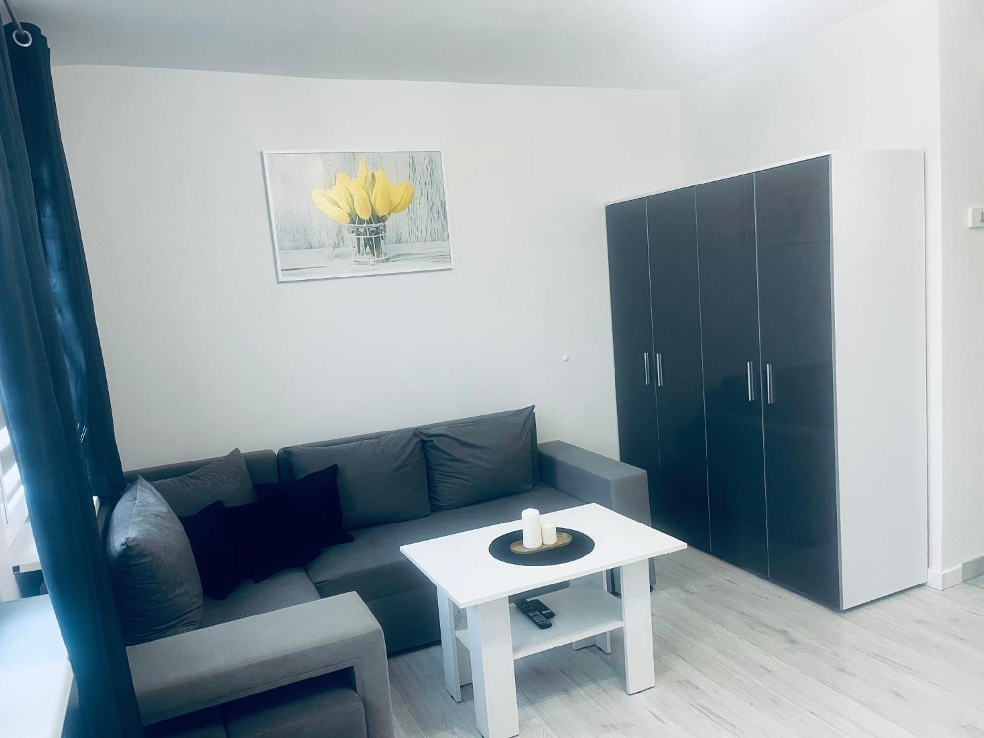 Silver Apartament كاتوفيتسه المظهر الخارجي الصورة